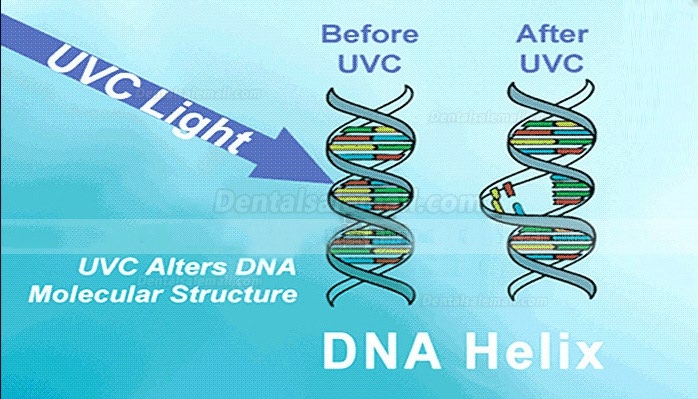 FY 120W-220W Mobile UV+Ozone Disinfection Lamp Ultraviolet Sterilizer Light Trolley 253.7nm