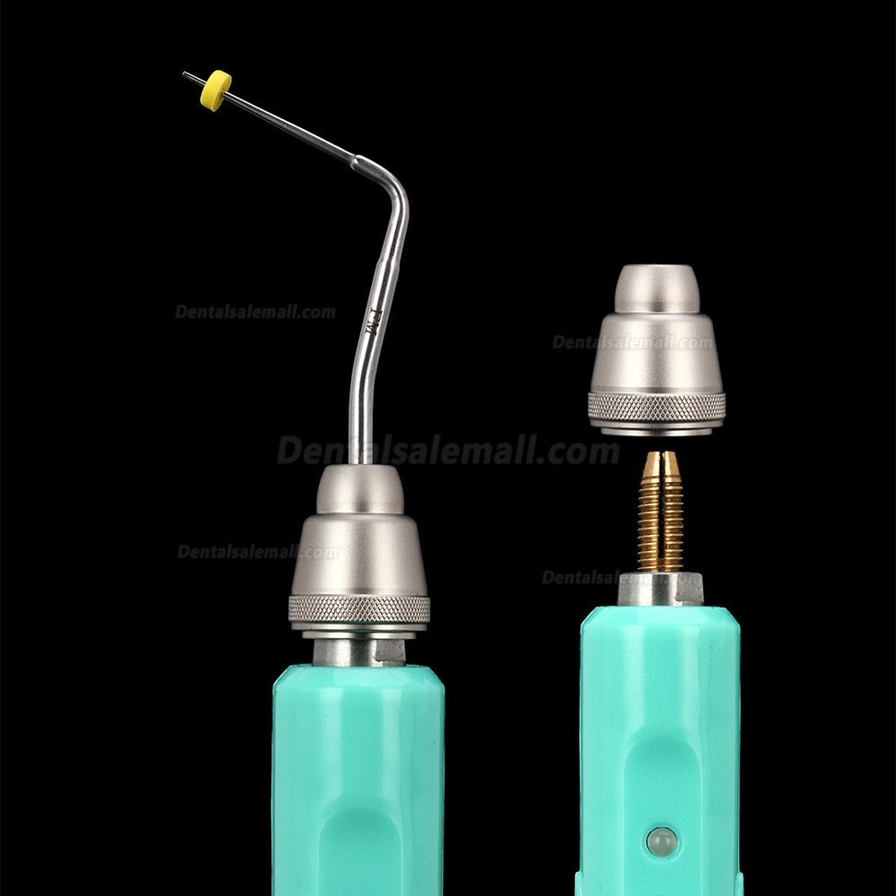 Dental Wireless Gutta Percha Obturation System Endo Heated Pen + 2 Tips