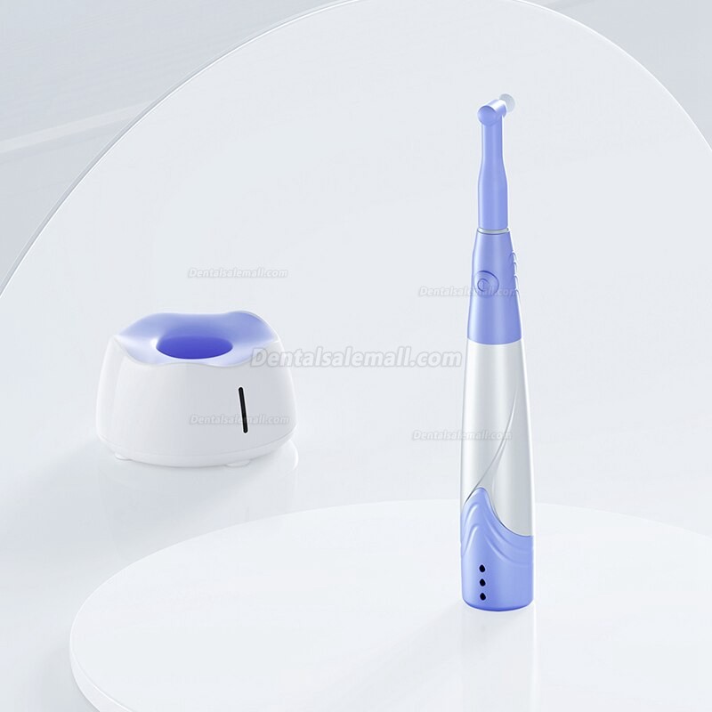 Woodpecker i-Polish Dental Polisher Polishing Machine Wireless Tooth ...