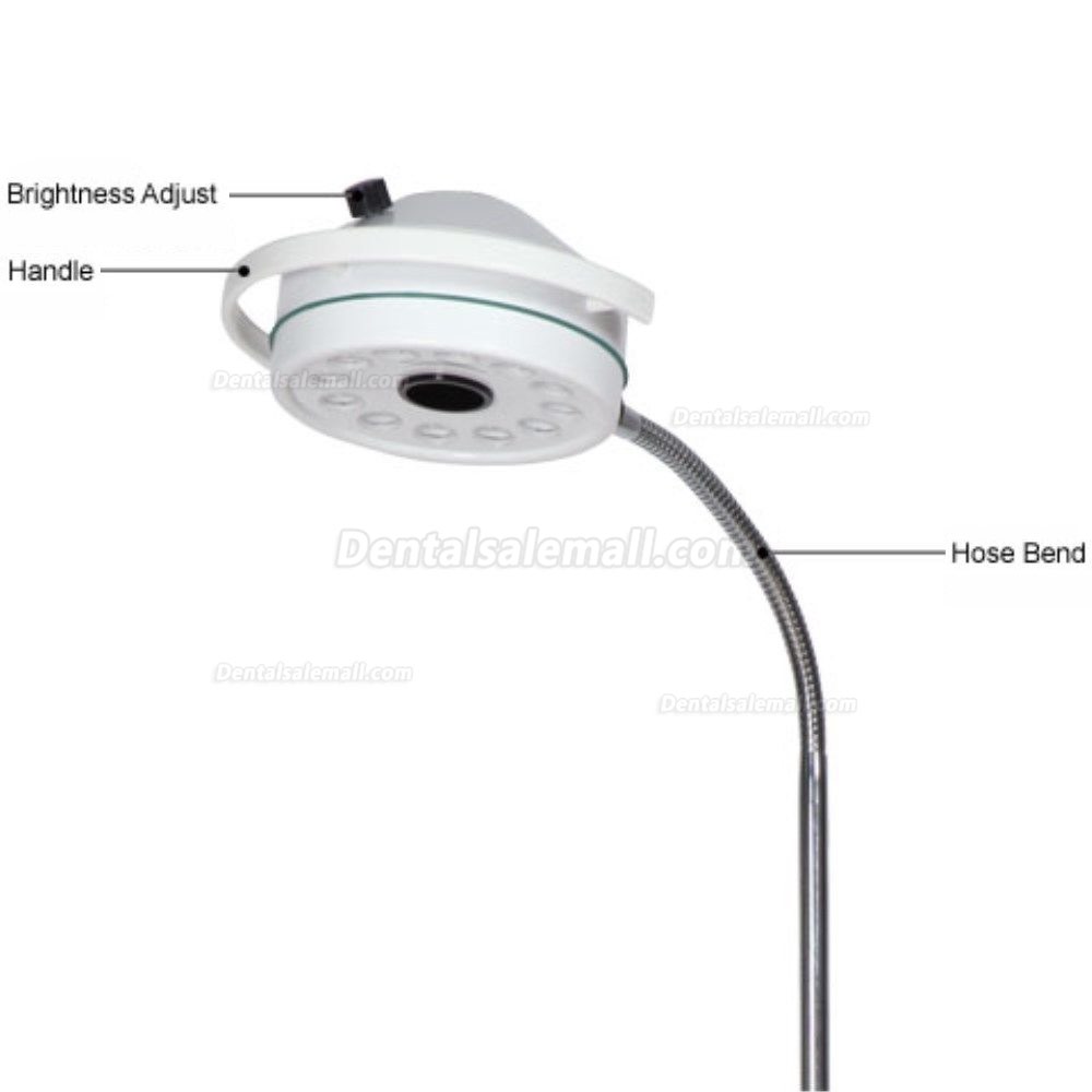 KWS® Mobile LED Stand Dental Light Oral Surgical Lamp Examination Light KD-2012D-3