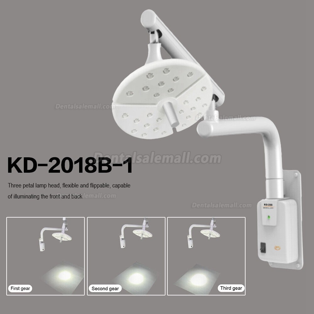 KWS KD-2018L-1 Wall-Mounted Dental Surgical LED Shadowless Operating Exam Light Touch Switch