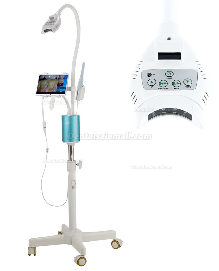 MLG M-66B Professional Dental Led Whitening Lamp Teeth Bleaching Light with 7 inch LCD Monitor