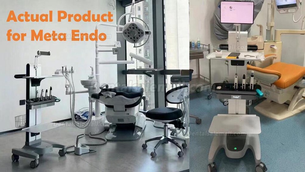 Denjoy MeteEndo Dental Endo Integrated System (with Meta Fill/Meta Pex/Meta Motor/Meta Pulp/Meta Pack)