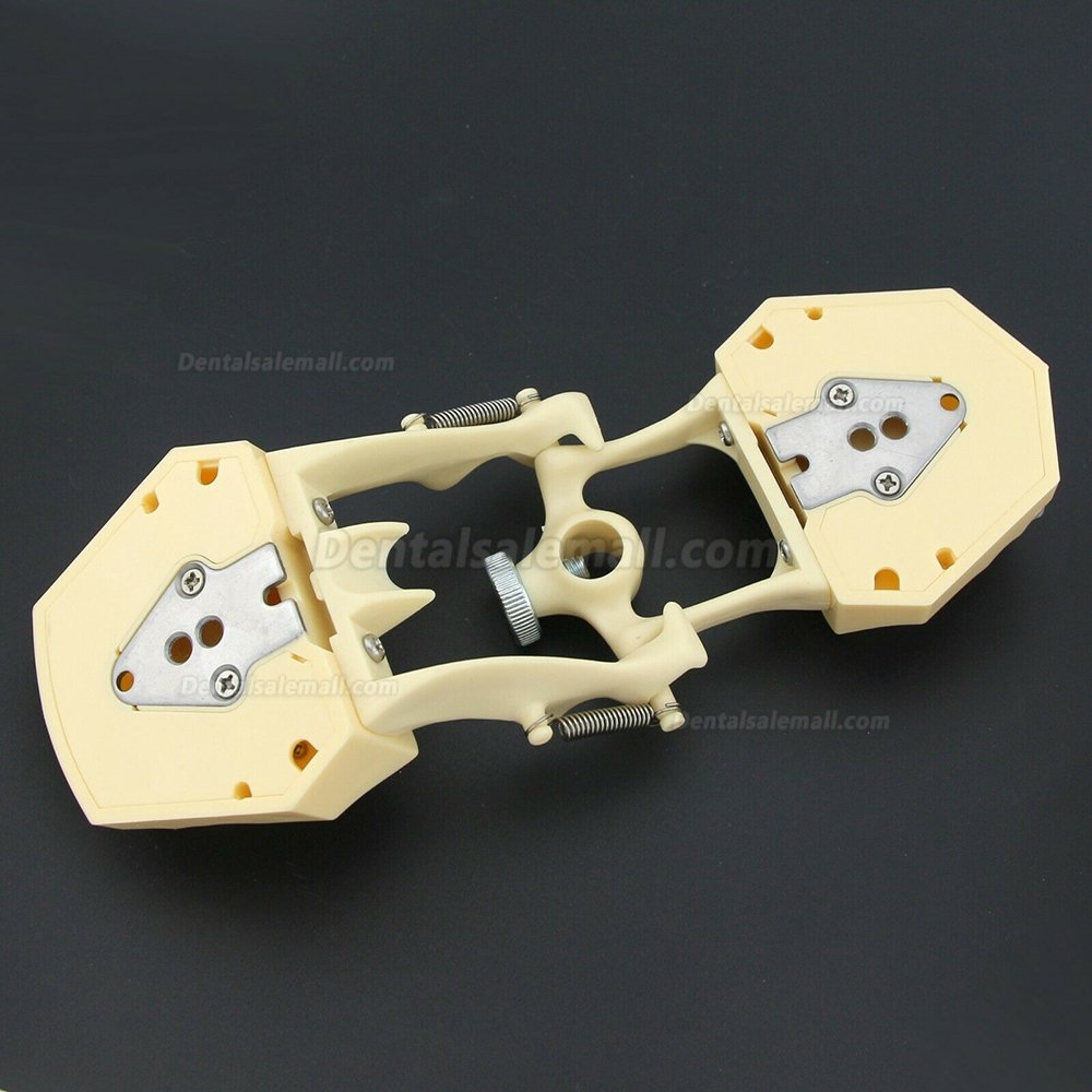 Dental Restorative Operative simulation Typodont Model M8014-2 Dental Restorative Operative simulation Typodont Model M8014-2