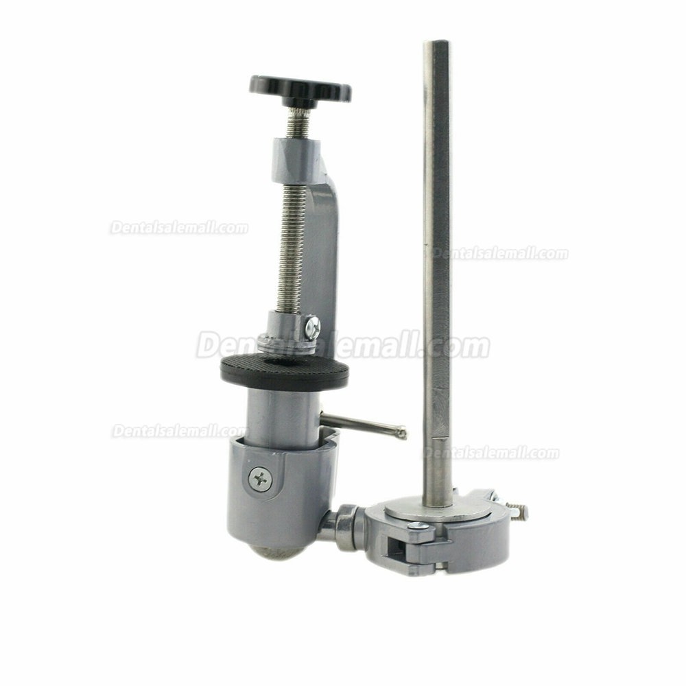 Dental Model Pole Mount Fit Columbia Nissin Frasaco Practice Typodont 360 Motion