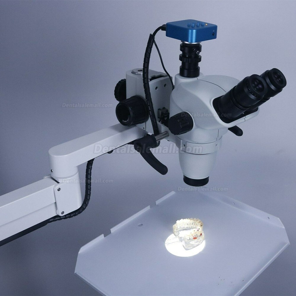 Dental Surgical Microscope with Camera Rood Canal Therapy for Dental Chair Unit