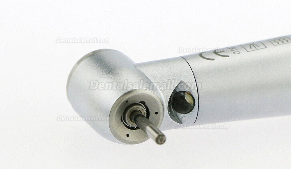 Dental LED High Speed Handpiece Standard head Pana-Max 2/4 Holes