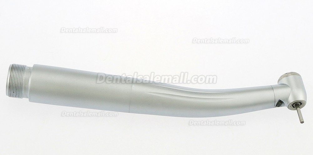 Dental LED High Speed Handpiece Standard head Pana-Max 2/4 Holes