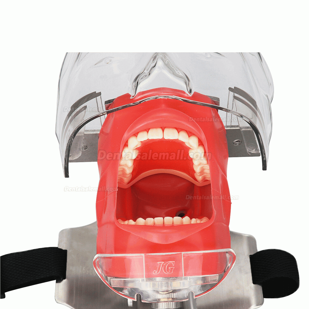 Dental Manual Manikin Simulator Phantom Head Model for Dental Chair Headrest Compatible with Nissin Kilgore