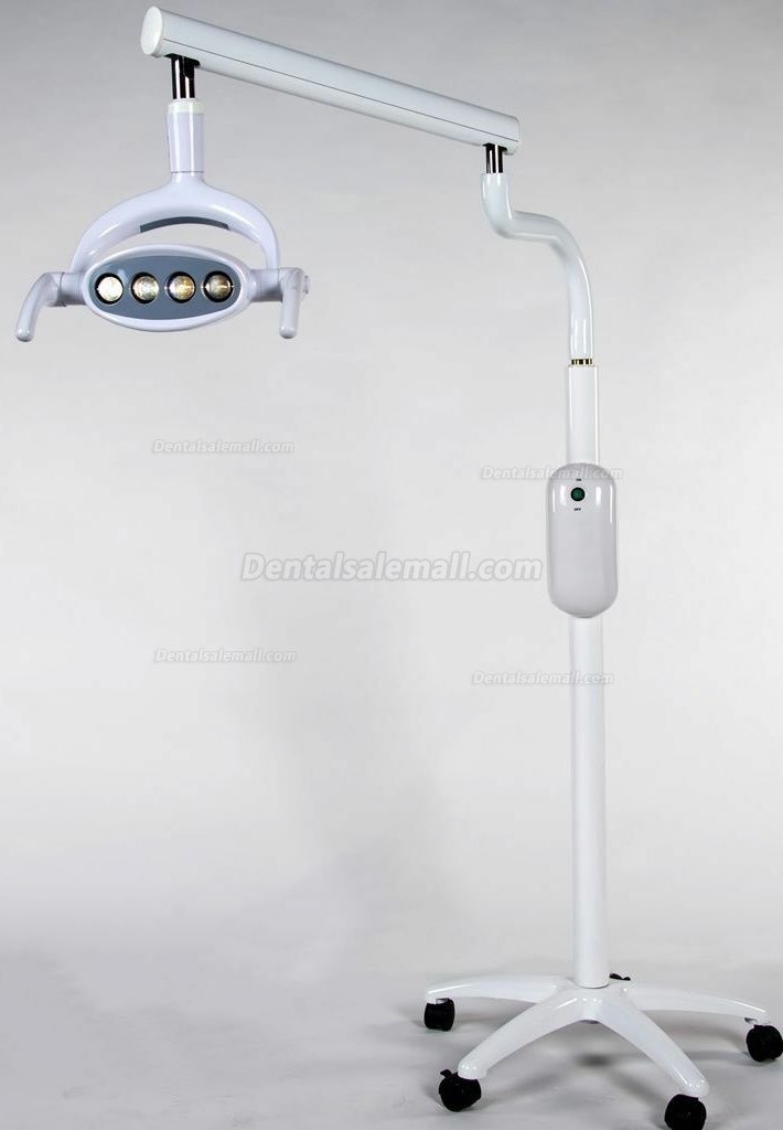 Saab P102A Dental 15W Shadowless Oral Light Lamp Floor Standing Type