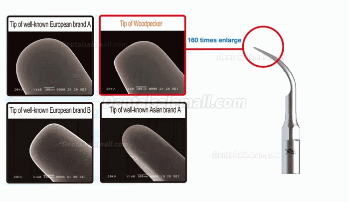 10Pcs Woodpecker Scaler Endo Tip E1 E2 E3 E3D E4 E4D E5 E5D E8 E9 E10D E11 E11D E14