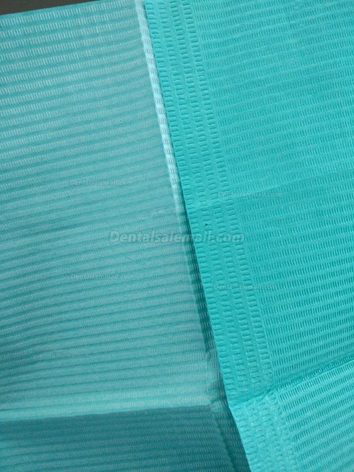 500 CS Avalon Papers 1053 Dental Bib Polyback Towel+2 Ply Tissue+ Poly 13