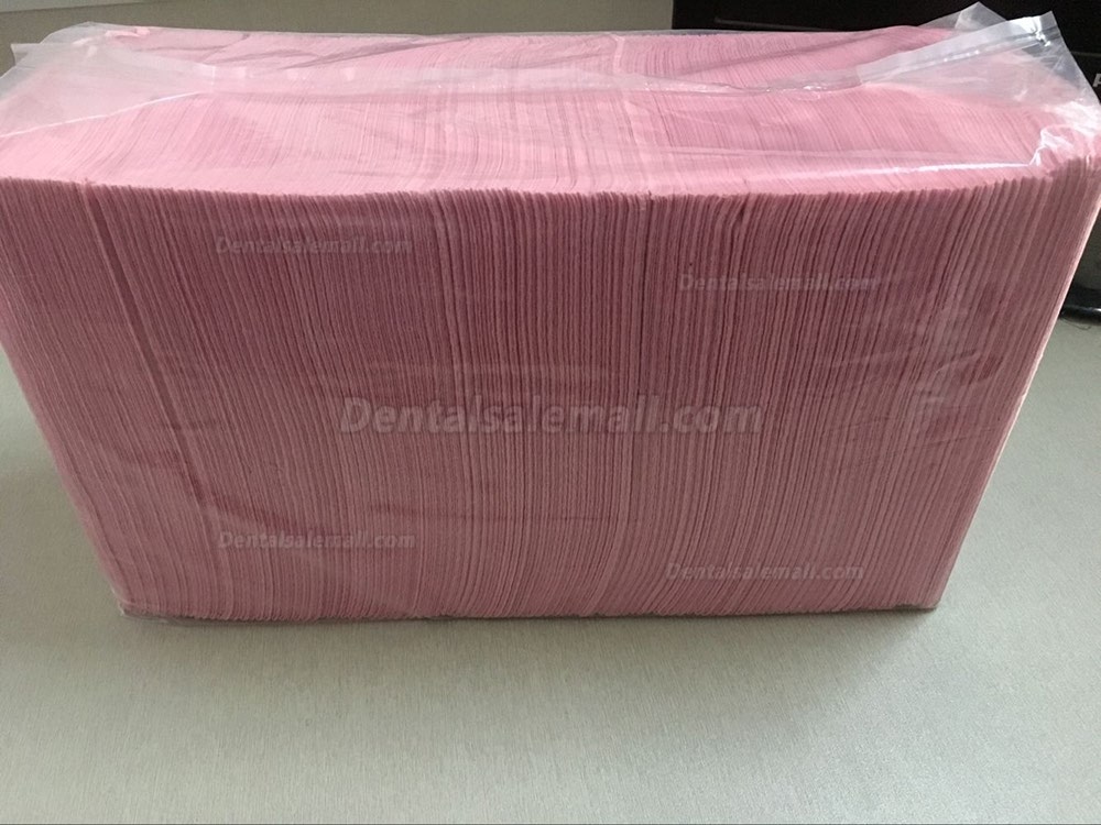 500 CS Avalon Papers 1053 Dental Bib Polyback Towel+2 Ply Tissue+ Poly 13