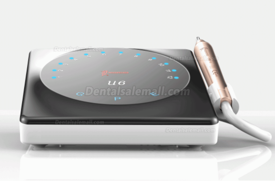 Woodpecker U6 LED Smart Ultrasonic Scaler Root Canal Treatment Touch Screen