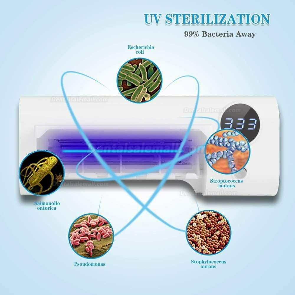UV LED Rechargeable 4 bulbs Toothbrush Sanitizer Holder Timing Sterilizer USB
