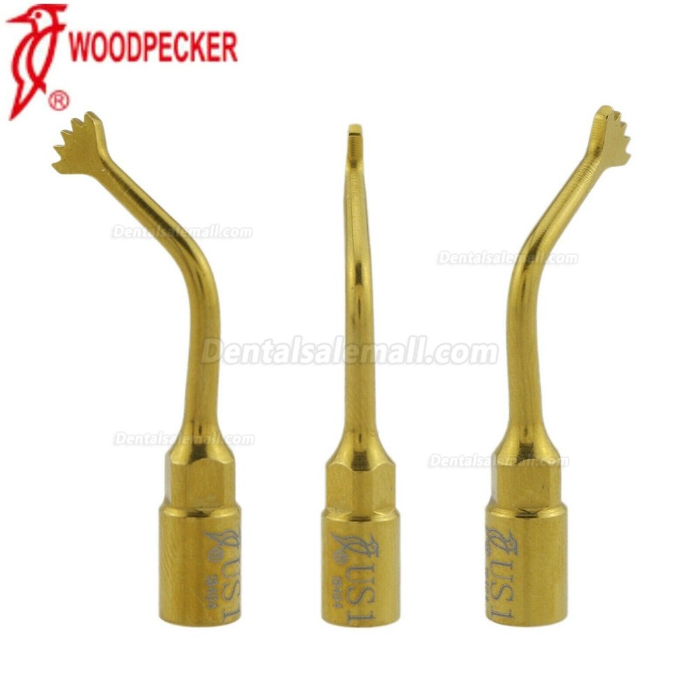 Woodpecker Dental Ultrasurgery Bone Surgery Tip US1 US2 EMS Woodpecker Mectron