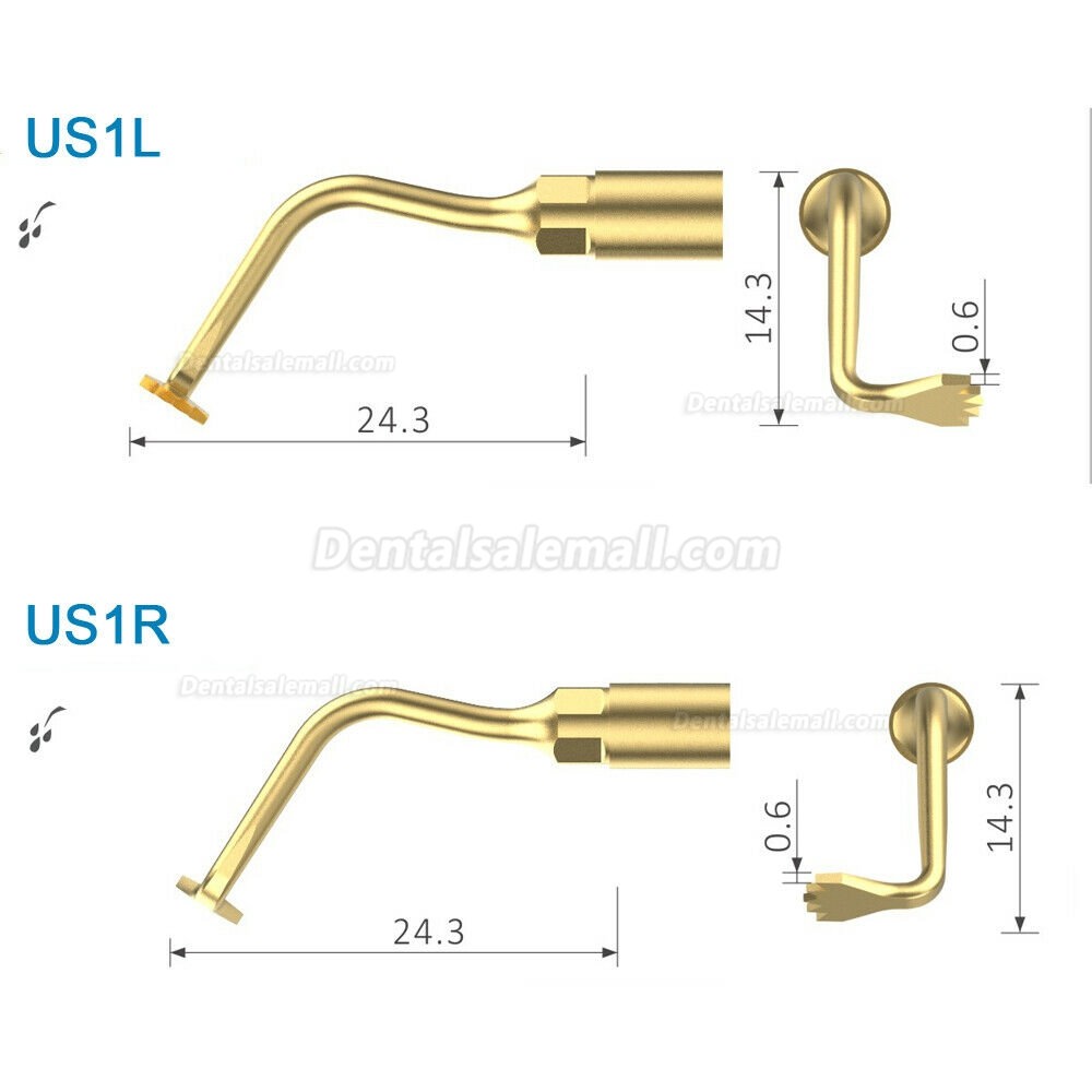 Woodpecker US1L US1R Ultrasurgery Bone Surgery Tip F/ Mectron PiezoSurgery Woodpecker Ultrasurger