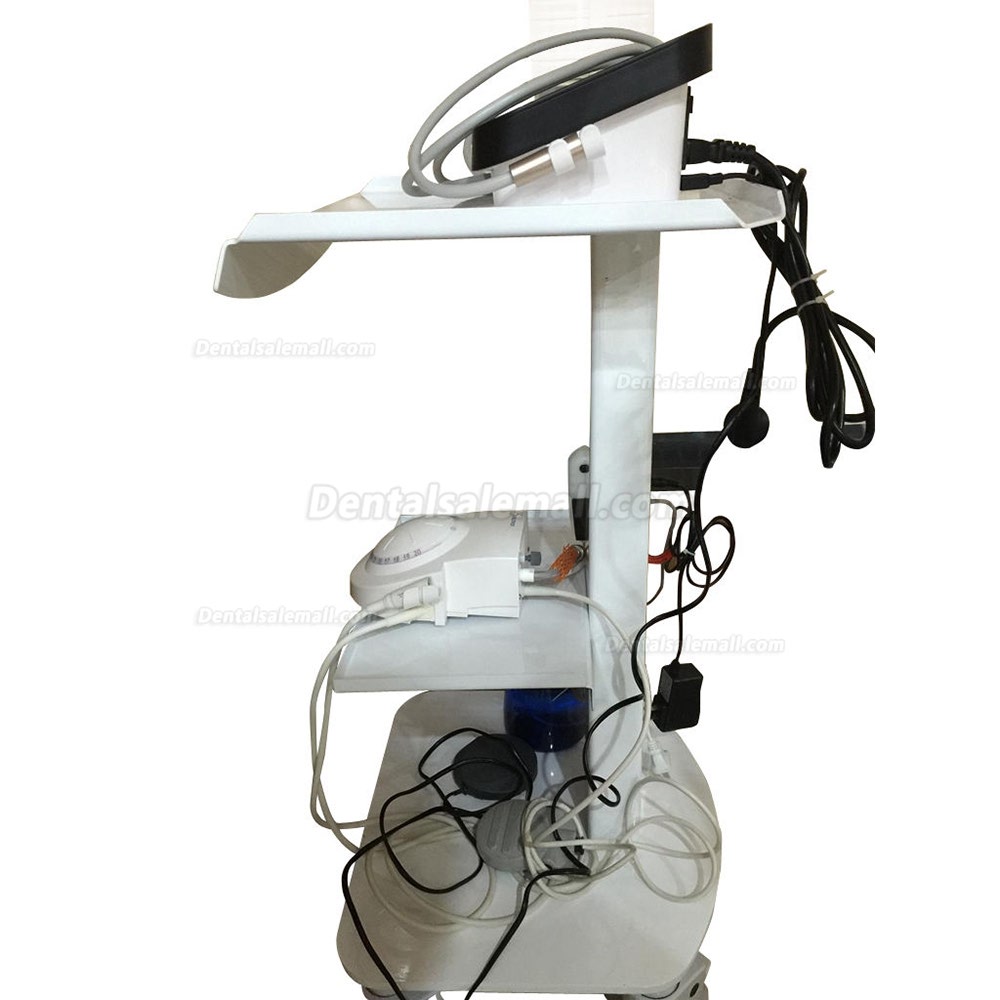 Medical Steel Cart Trolley Doctor Dentist Trolly Spa Salon Equipment All Purpose