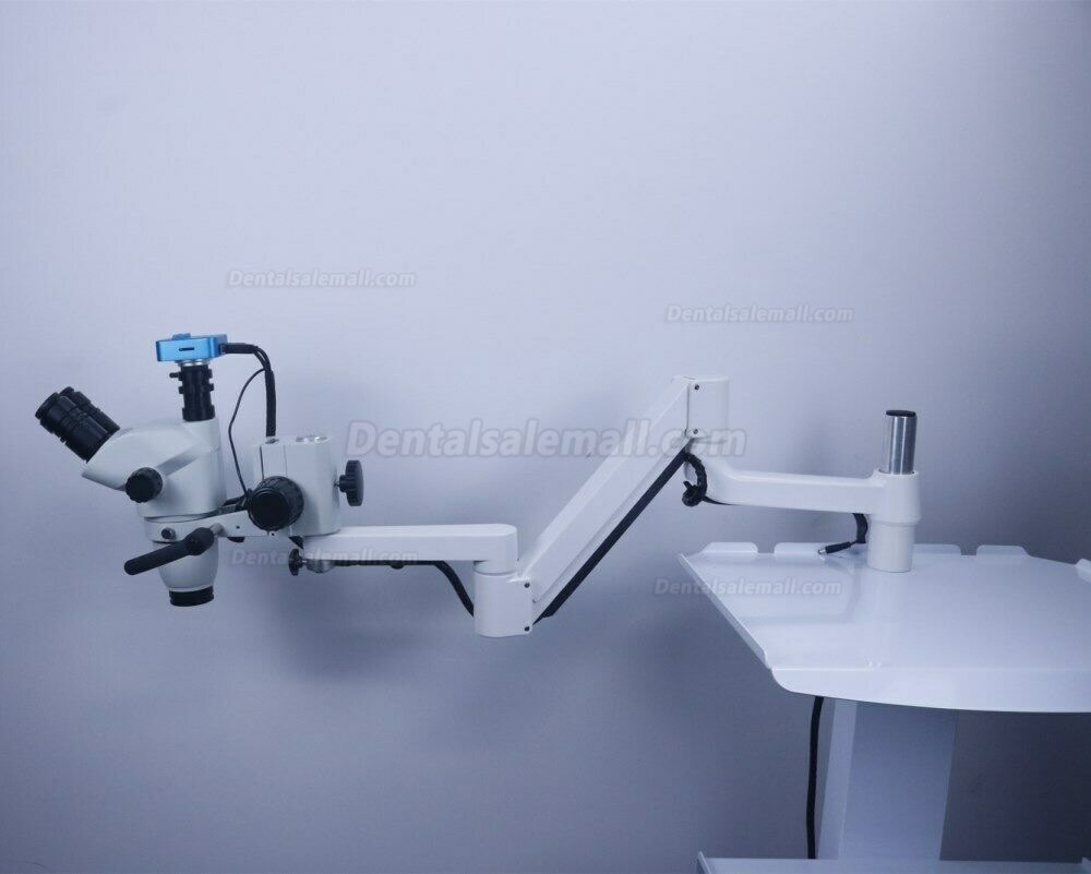 5W Trolley Type Dental Endo Therapy Operating Microscope Loups with Camera