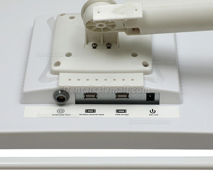 Magenta YFHD-D Dental Intraoral Camera 1/4 sony CCD 17 Inch Monitor & Support Arm Bracket