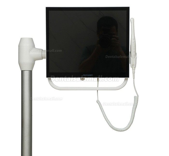 Magenta YFHD-D Dental Intraoral Camera 1/4 sony CCD 17 Inch Monitor & Support Arm Bracket