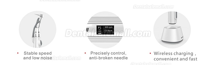 BYOND Dental Wireless Endodontic Motor with Apex Locator E-Connect Contra-angle 16:1
