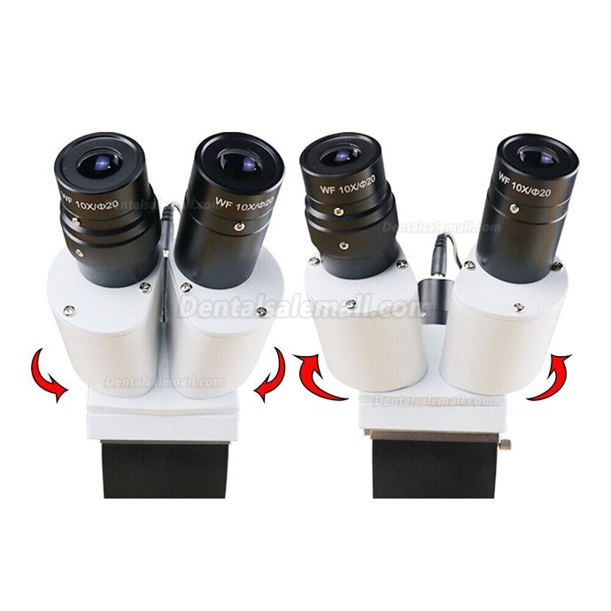 10X/15X/20X Dental Surgical Operating Endo Microscope with LED Light For Dental Chair Unit