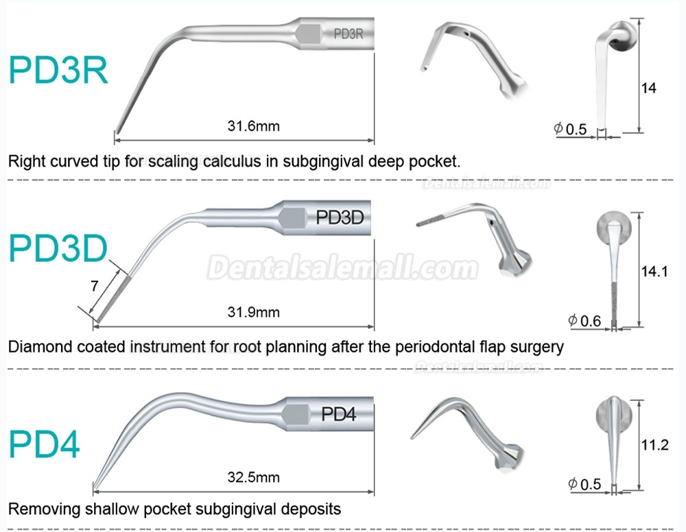 10Pcs Dental Scaler Scaling Tips PD2L PD2LD PD2R PD2RD PD5 PD6 PD7 PD8 PD10 Compatible with Refine SATELEC NSK DTE GNATUS Scaler Handpiece