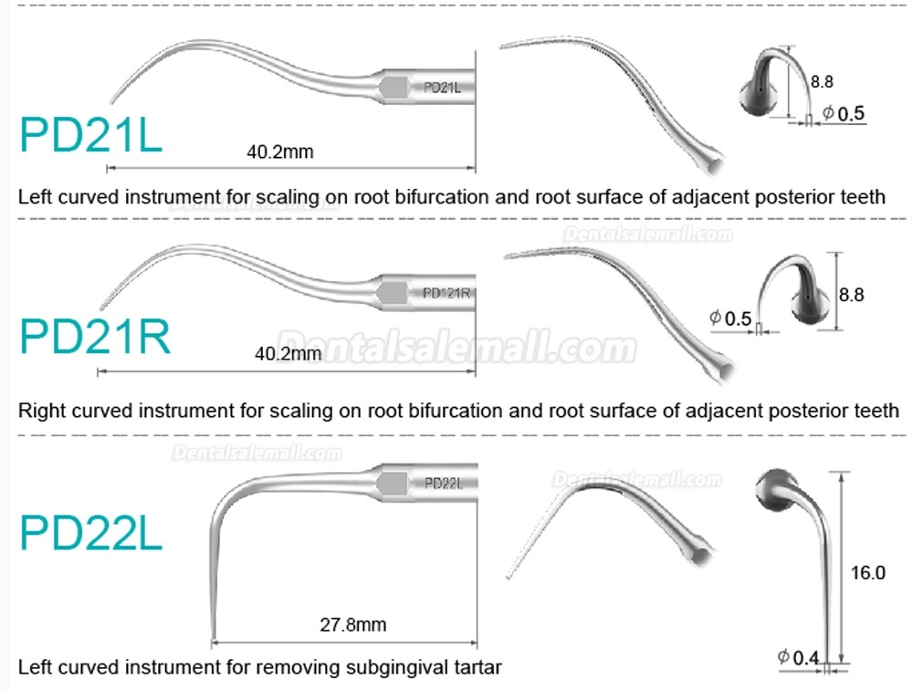 10Pcs Dental Scaler Scaling Tips PD2L PD2LD PD2R PD2RD PD5 PD6 PD7 PD8 PD10 Compatible with Refine SATELEC NSK DTE GNATUS Scaler Handpiece