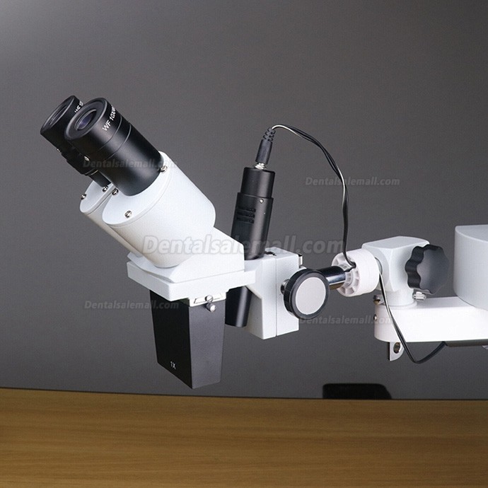 10X Dental Operating Endo Microscope Endodontic Surgical Microscope Table Desk Mounted