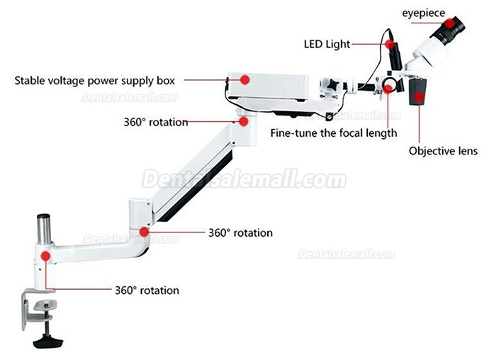 10X/15X/20X Dental Operating Endo Microscope Endodontic Surgical Microscope Table Desk Mounted