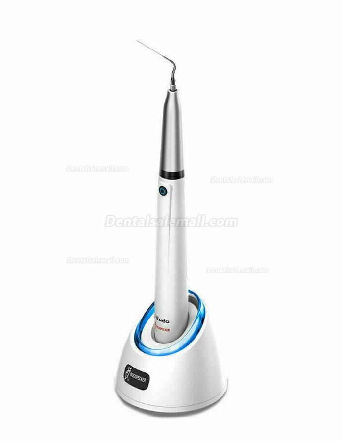 Woodpecker DTE Endo 1 Ergonomic Endo Irrigator Dental Ultrasonic Activator