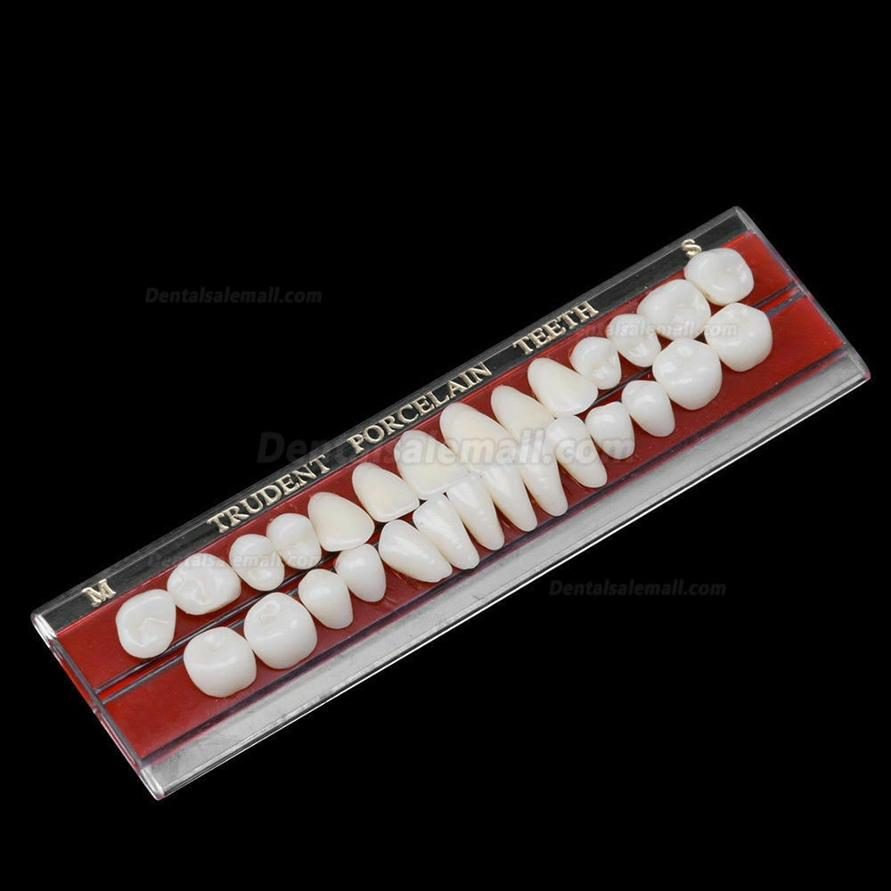 5 Set Alloy Pin Dental Materials Porcelain Teeth Tooth Shade Guide Dentures 24 #