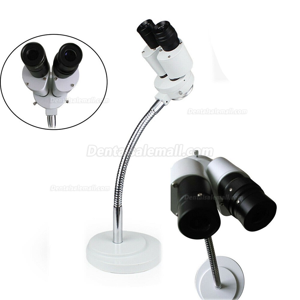 Micare 8X Microscope Comprehensive Magnification 360° Revolve Dental Lab Equipment