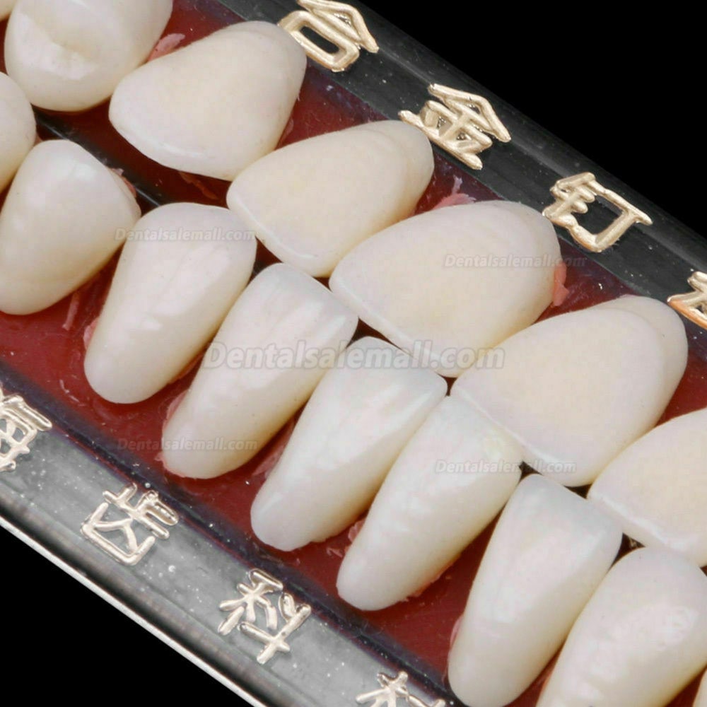 5 Set Alloy Pin Dental Materials Porcelain Teeth Tooth Shade Guide Dentures 24 #