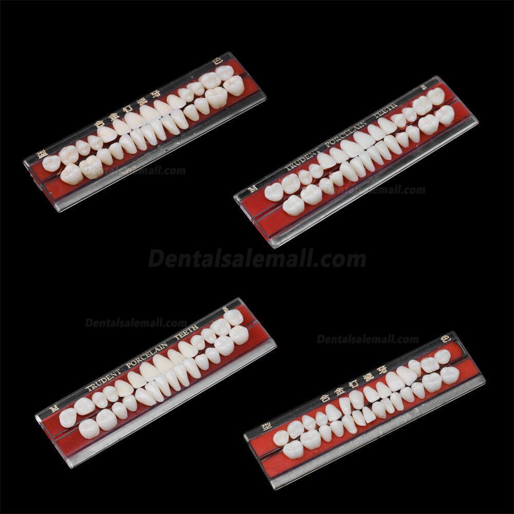 5 Set Alloy Pin Dental Materials Porcelain Teeth Tooth Shade Guide Dentures 24 #