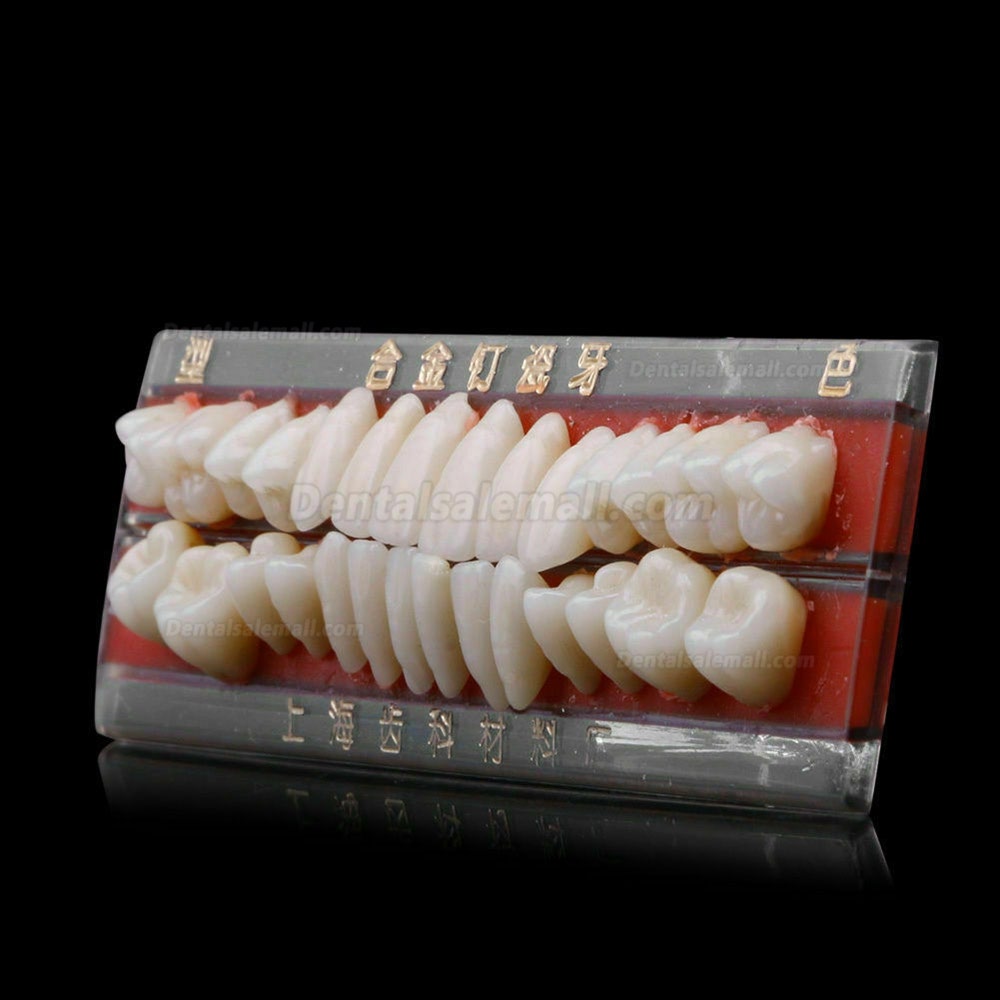 5 Set Alloy Pin Dental Materials Porcelain Teeth Tooth Shade Guide Dentures 24 #