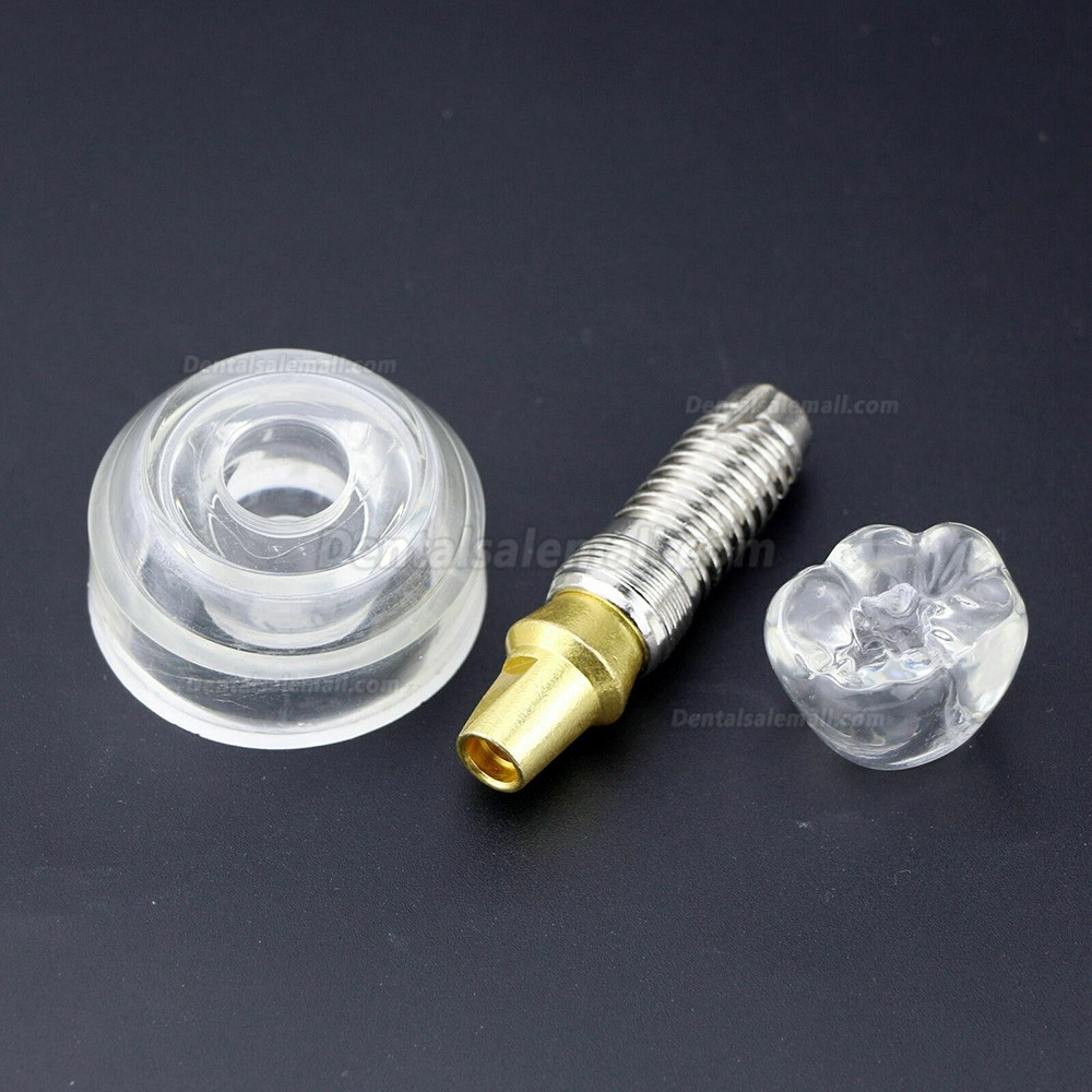 Dental Implant Demonstration Model 2.5x Size Detachable Transparent 2020